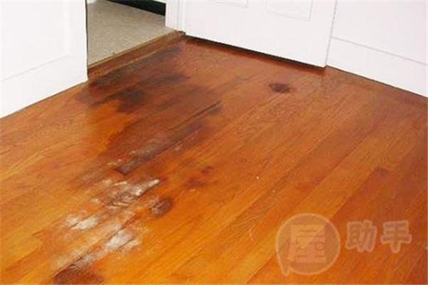 拯救受潮木地板的正確姿勢